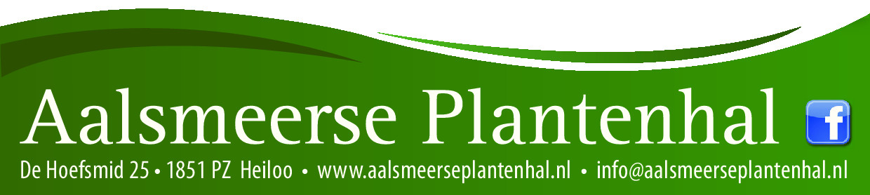 aalsmeerse plantenhal