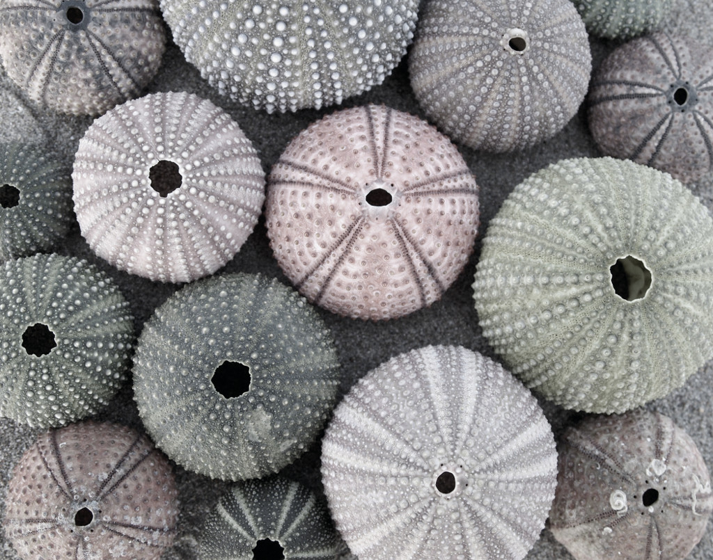 Foto: Solidfloor Driftwood houten vloeren 4