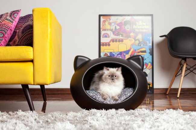 Foto: 6 2  qualitycat Guisapet Cat Cave katten mand