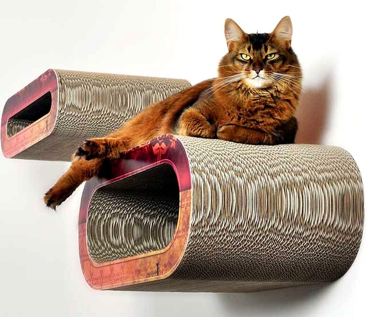 Foto: 9 quality cat cat on le rouleau 2 krabplank krabmeubel golf karton medium wand muur