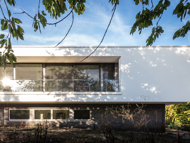 Lees hier hun verhaal